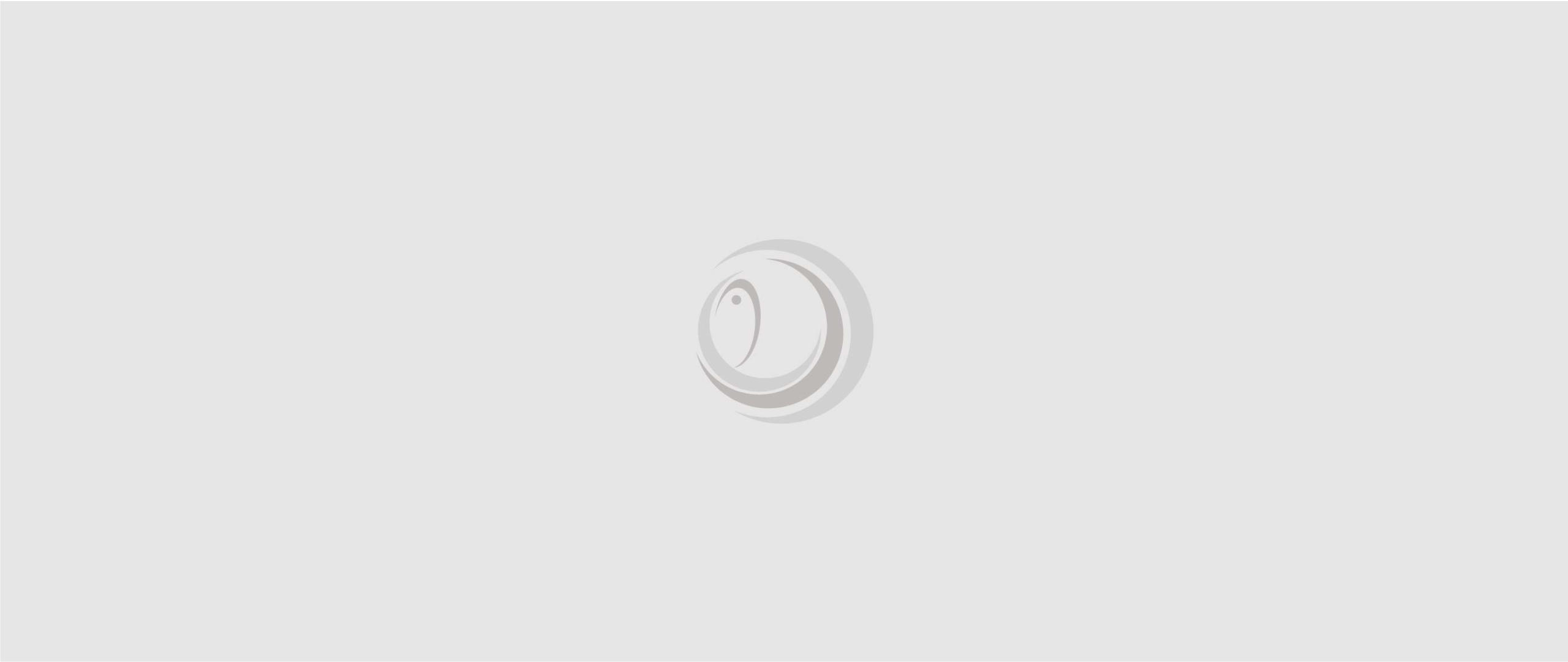 logo-folio vol1 digital designer freelance