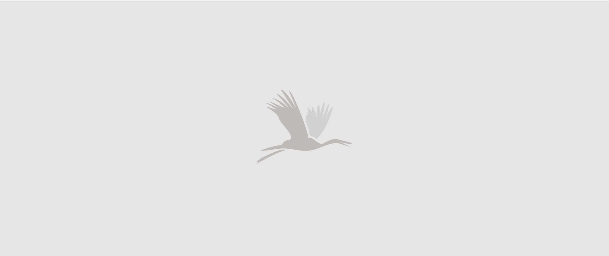 logo-folio vol1 digital designer freelance