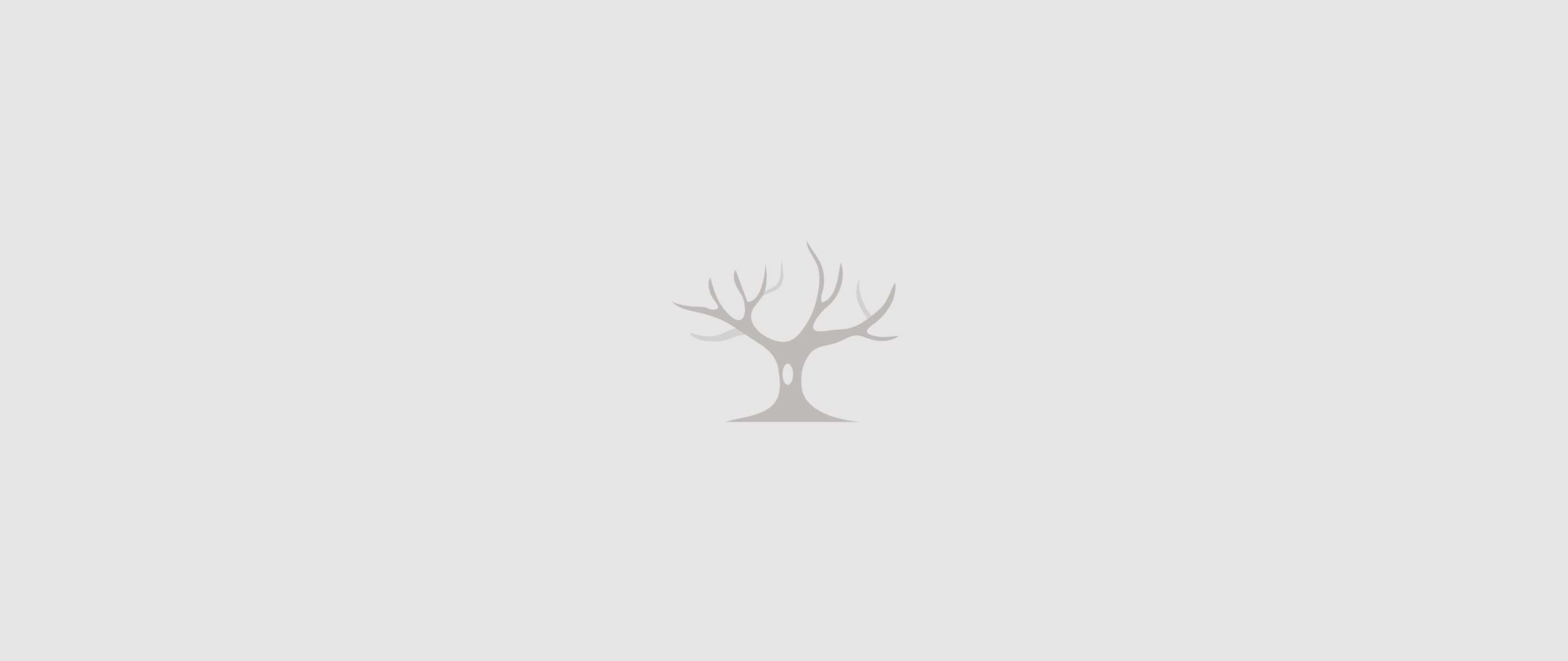 logo-folio vol1 digital designer freelance