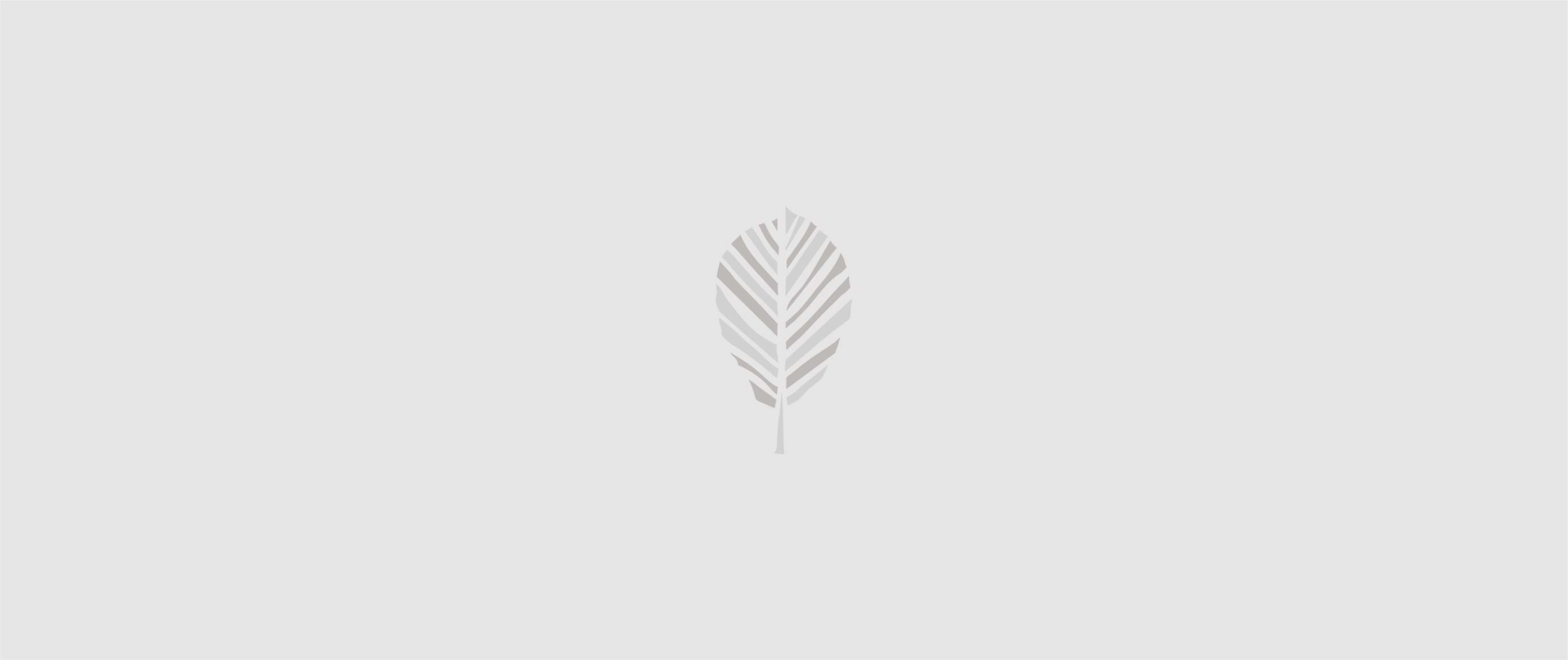 logo-folio vol.2 digital designer freelance