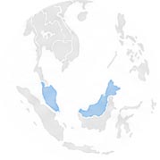 icon Malaysia