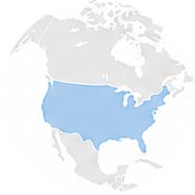 icon USA