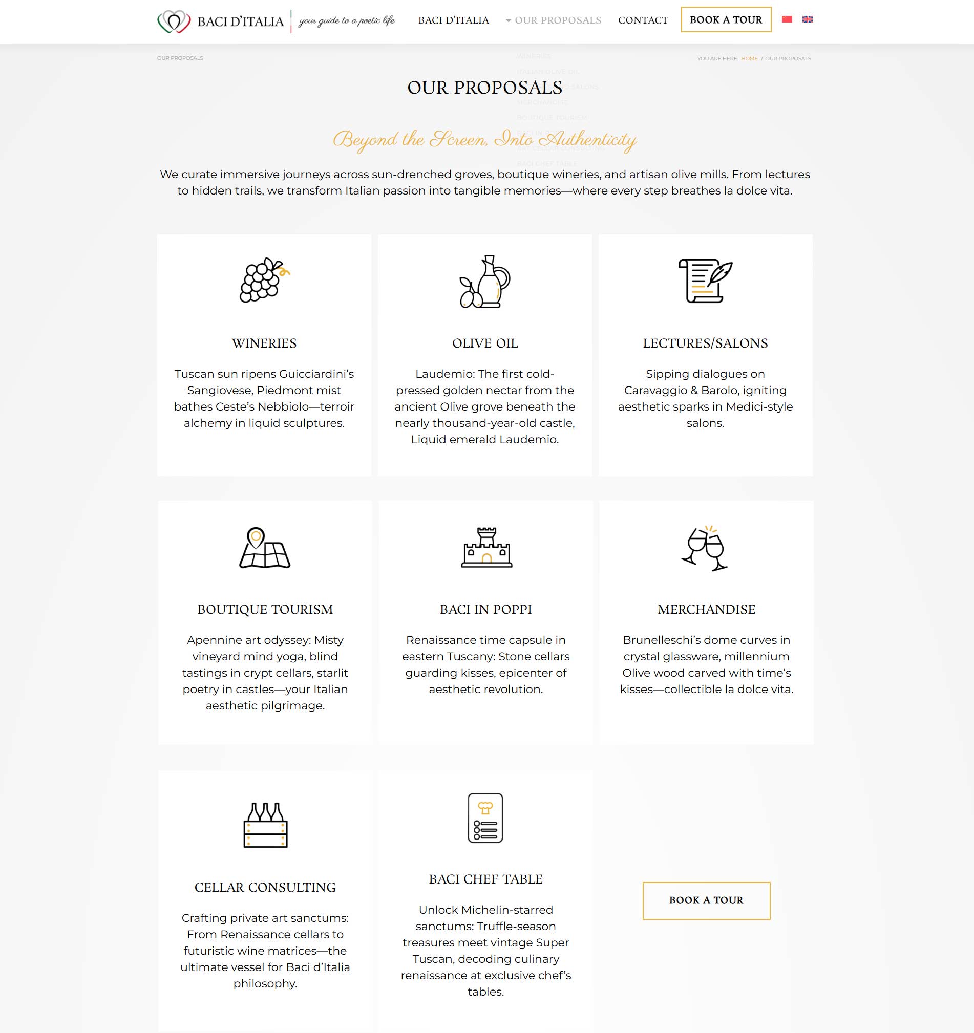 baci d'italia design website structure with icons services page