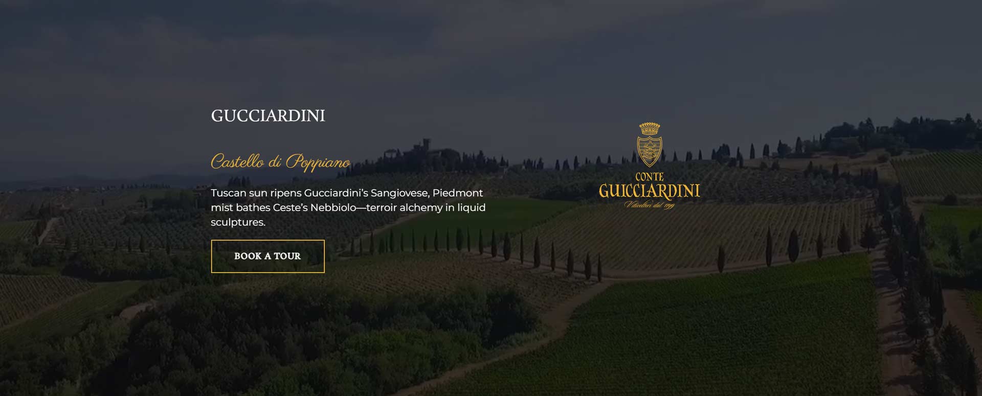 baci d'italia wordpress design video section web preview